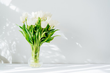 Spring bouquet of white tulip flowers in vase stand on white table near light grey wall with...