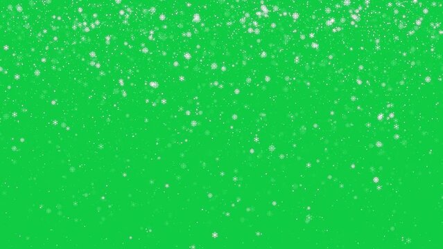 Falling snow isolated on green chroma key loop background