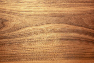 wood textures at close range 