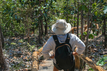 Naklejka premium Rear view of backpack female geologist exploring nature trail in forest and analyzing plants. Female environmental scientist exploring plants in the rainforest. Environmental and ecology research.