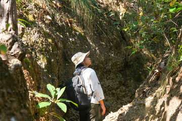 Female geologist with backpack exploring nature trail in forest and analyzing rock or gravel. Researchers collect samples of biological materials. Environmental and ecology research.