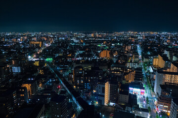 東京都江戸川区 タワーホール船堀展望室から見る夜の東京の住宅街