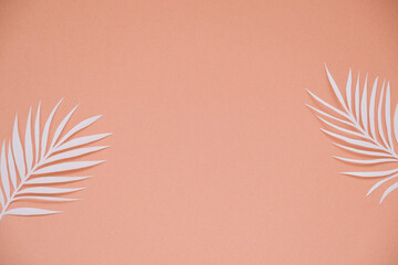 Tropical palm leaf on terracotta background. Flat lay, top view