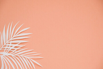 Fototapeta na wymiar Tropical palm leaf on terracotta background. Flat lay, top view