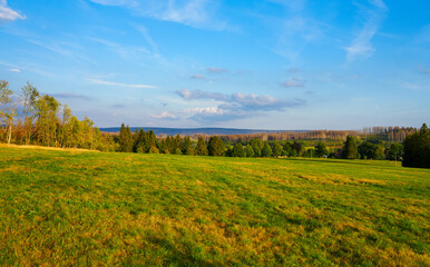 Landscape at the Hasenbacher Teich. Nature in the Harz near Clausthal-Zellerfeld.
