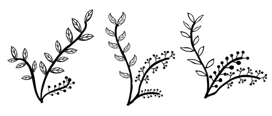 Obraz premium simple vector set 3 hand draw sketch flower and leaf border