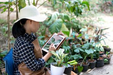woman arranging plants in the garden