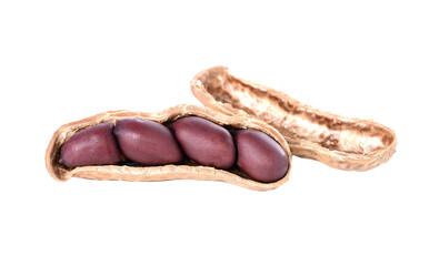 peanut on transparent png