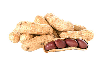 peanut on transparent png