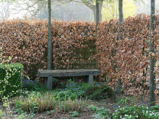 Garden seat seen in the corner of a garden enclosed by a beech hedge with brown leaves in winter,