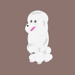 Naklejka premium Poodel dog