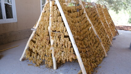 it is nit roof of a house. It is process of driying rasin.