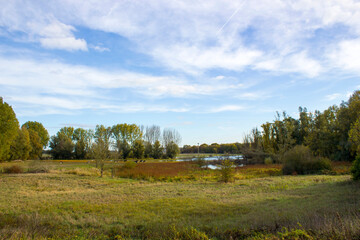 Fototapeta premium nature reserve Bislicher Insel, Lower Rhine Region, Germany