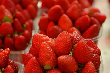 Semi-transparent plastic containers filled with fresh strawberries placed in rows. Selective focus. Beautiful strawberry close-up for sale at a local market
