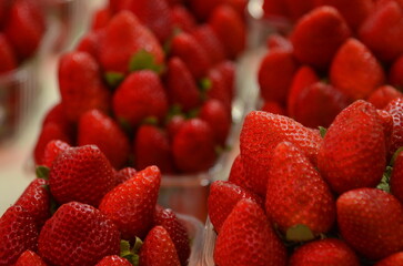 Semi-transparent plastic containers filled with fresh strawberries placed in rows. Selective focus. Beautiful strawberry close-up for sale at a local market