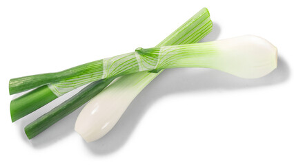 Leek or green spring onion stems with  bulb crossed isolated png, top view