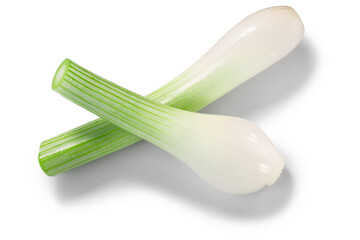 Leek or green spring  onion stems with bulb crossed isolated png, top view