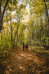 Obraz premium Couple love hiking through the beautiful deciduous forest with autumn leaves. A trip of two people in love in autumn season