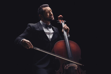 Male musician in a suit and bow-tie playing a cello © Ljupco Smokovski
