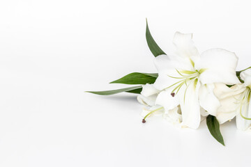 White liles flowers with leaves. Floral background