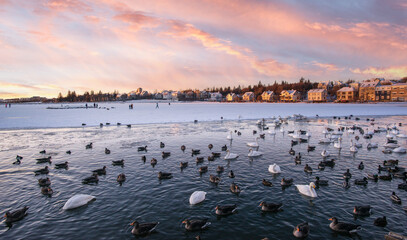 Reykjavik