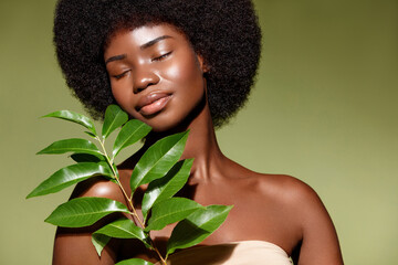 Organic cosmetics concept.  Beauty portrait of young beautiful african american woman with posing with a green branch, model curly hair against green background.