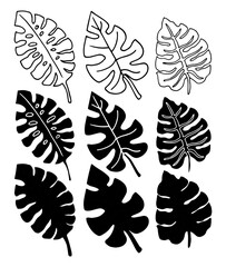 Monstera leaves. Set of vector illustrations. Silhouette. Design elements. Minimalistic style.