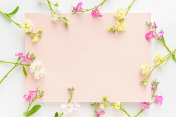 冬から春の花「ストック」のフラワーフレーム