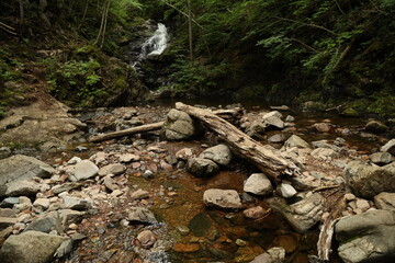Stream with small waterfall on a trail in Cape Breton, Nova Scotia 