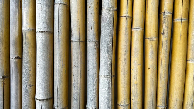 Texture of yellowish bamboo wall background