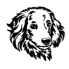 Dog Scottish setter spaniel Scottish setter spaniel portrait; muzzle face. Silhouette. Line art. Template. Close-up. Clip art. Hand Painting. Ink. Black and white. laser cut; papercut; silhouette