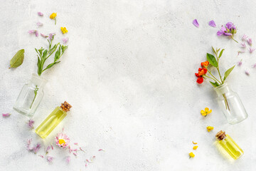 Meadow medicinal herbs essential oil in bottles with flowers