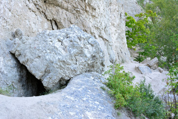 rocky wall of the mountain isolated with green bushes, close-up