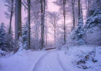 Road in snowy forest in beautiful winter at sunset. Colorful landscape with trees in snow, trail, purple sky in evening. Snowfall in woods. Wintry woodland. Snow covered forest at dusk. Trees in hoar