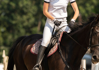 Female athlete rides a horse on open manege
