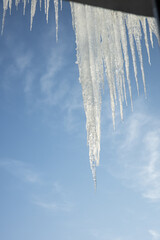 Background of bright transparent icicles in the sunlight. Large icicles hanging from the roof on blue background