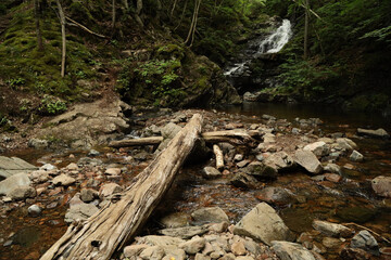 Stream with small waterfall on a trail in Cape Breton, Nova Scotia 