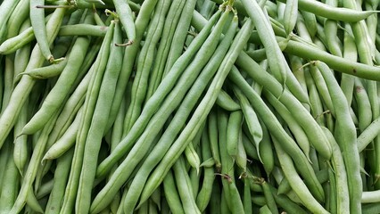 Pile of fresh green beans or Phaseolus vulgaris