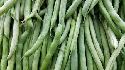 Pile of fresh green beans or Phaseolus vulgaris