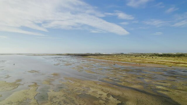 Netherlands, West-Terschelling, Aerial view of Wadden Sea