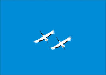 青空を飛ぶつがいのタンチョウ01