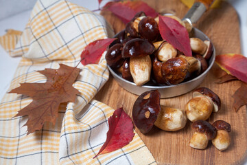Several Imleria Badia or Boletus badius mushrooms commonly known as the bay bolete and vintage pan with mushrooms on wooden cutting board..