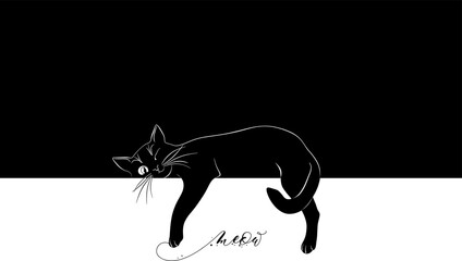 A cunning black cat lies dangling its paws - 554891299