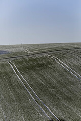 Naklejka premium Traces agricoles blanches de neige dans le as-de-Calais - France