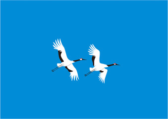 青空に飛ぶつがいのタンチョウ06