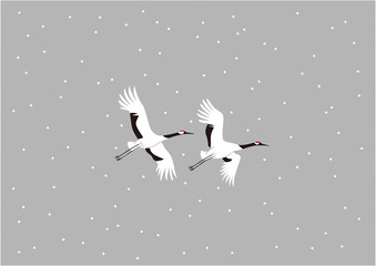 雪の中を飛ぶつがいのタンチョウ08