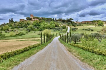 Fototapeta na wymiar Well known Tuscany landscape with grain fields, cypress trees and houses on the hills at sunset. Summer rural landscape with curved road in Tuscany, Italy, Europe