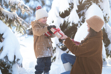 Christmas time. Mom and son is decorating a Christmas tree and give a gift each other.