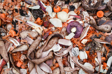 Overhead shot of various vegetable compost peelings