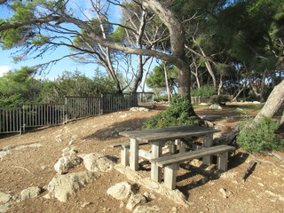 bench in the park